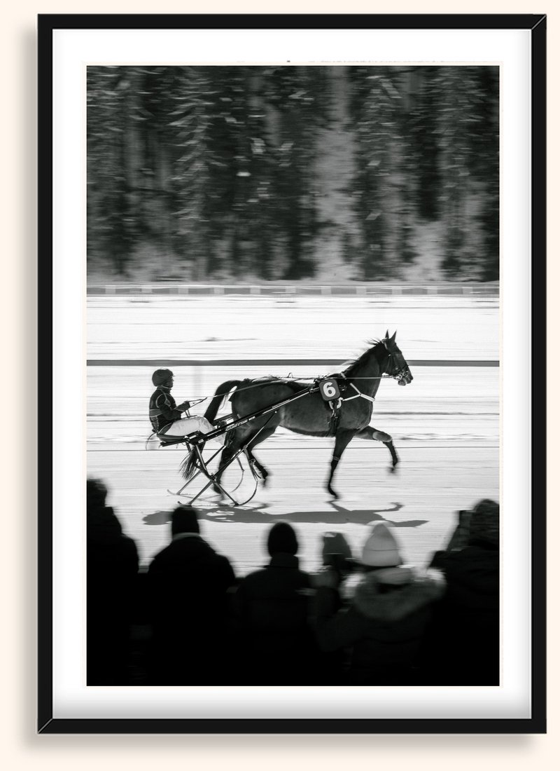 Ice Trot — Caballos 01
