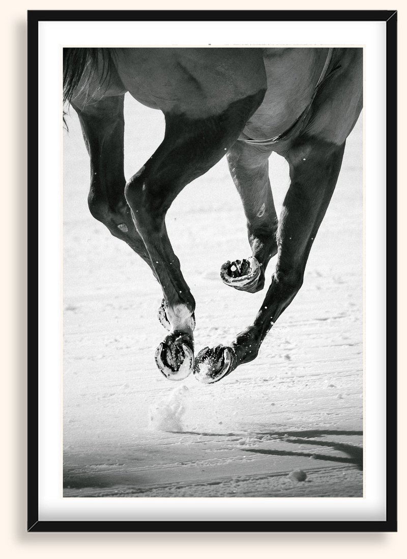 Powder Stride — Caballos 02