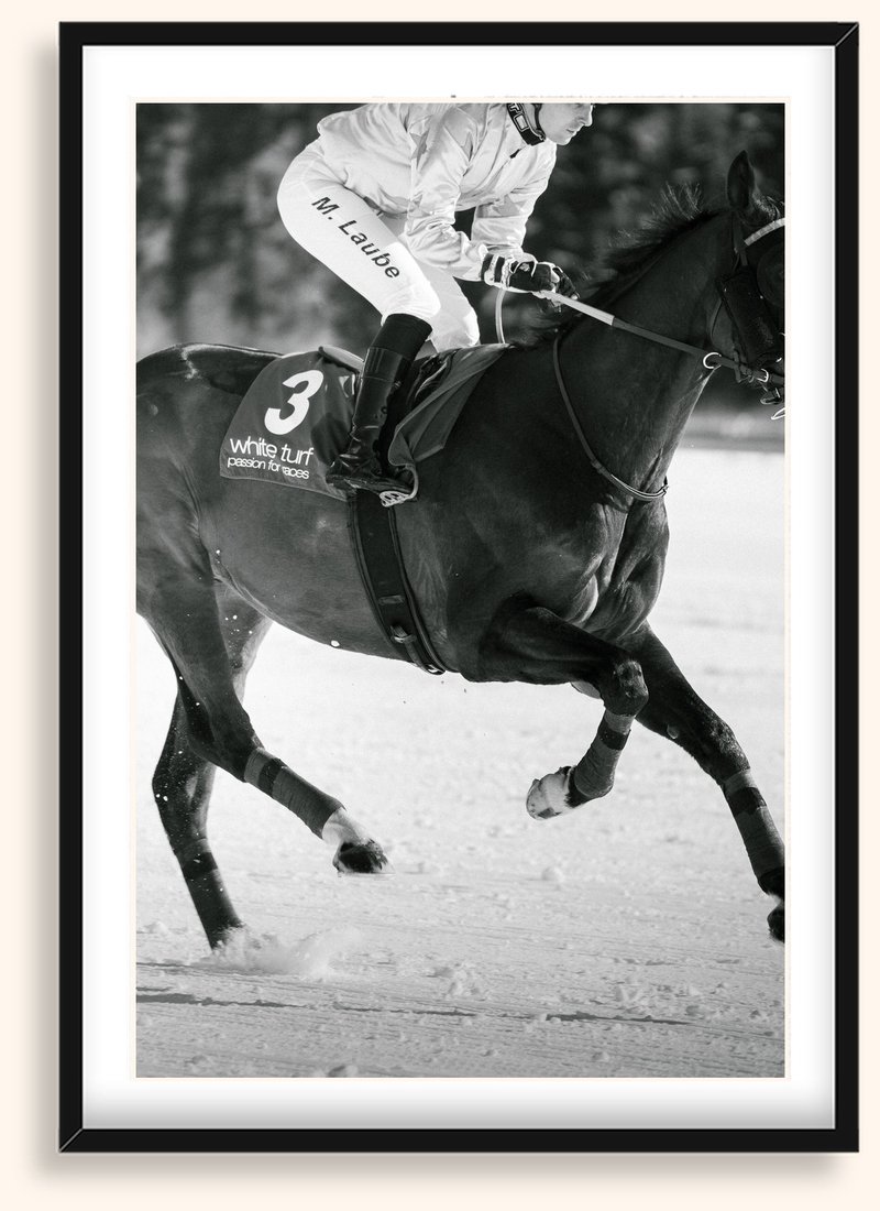 Turf Run — Caballos 05