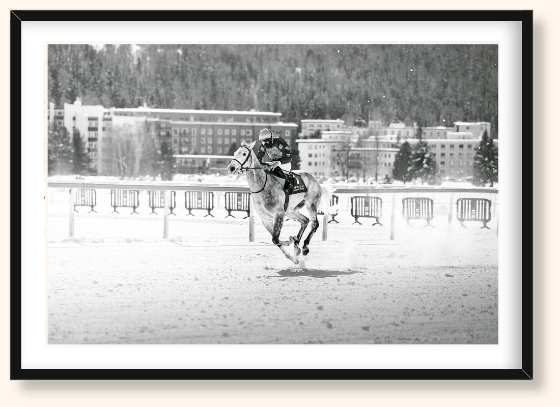 Alpine Gallop — Caballos 07