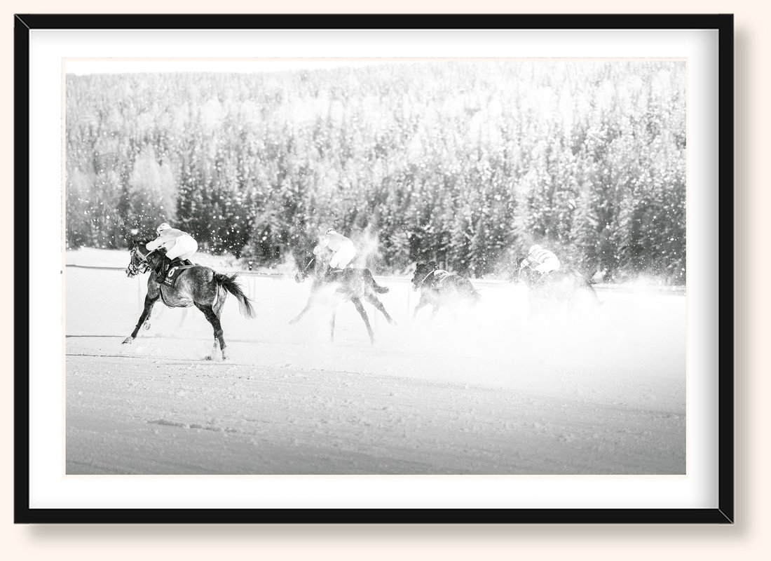 Snow Veil — Caballos 08