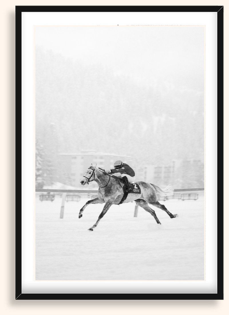Whiteout — Caballos 10