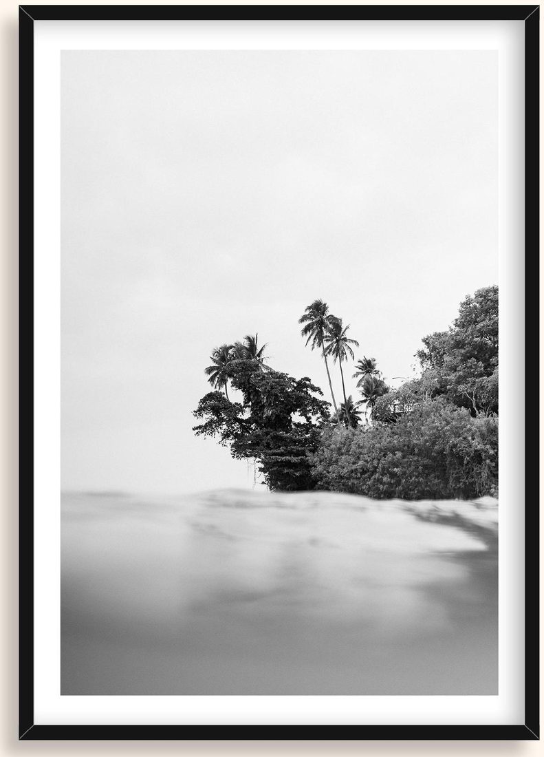 Jungle Point — Mar & Surf 40